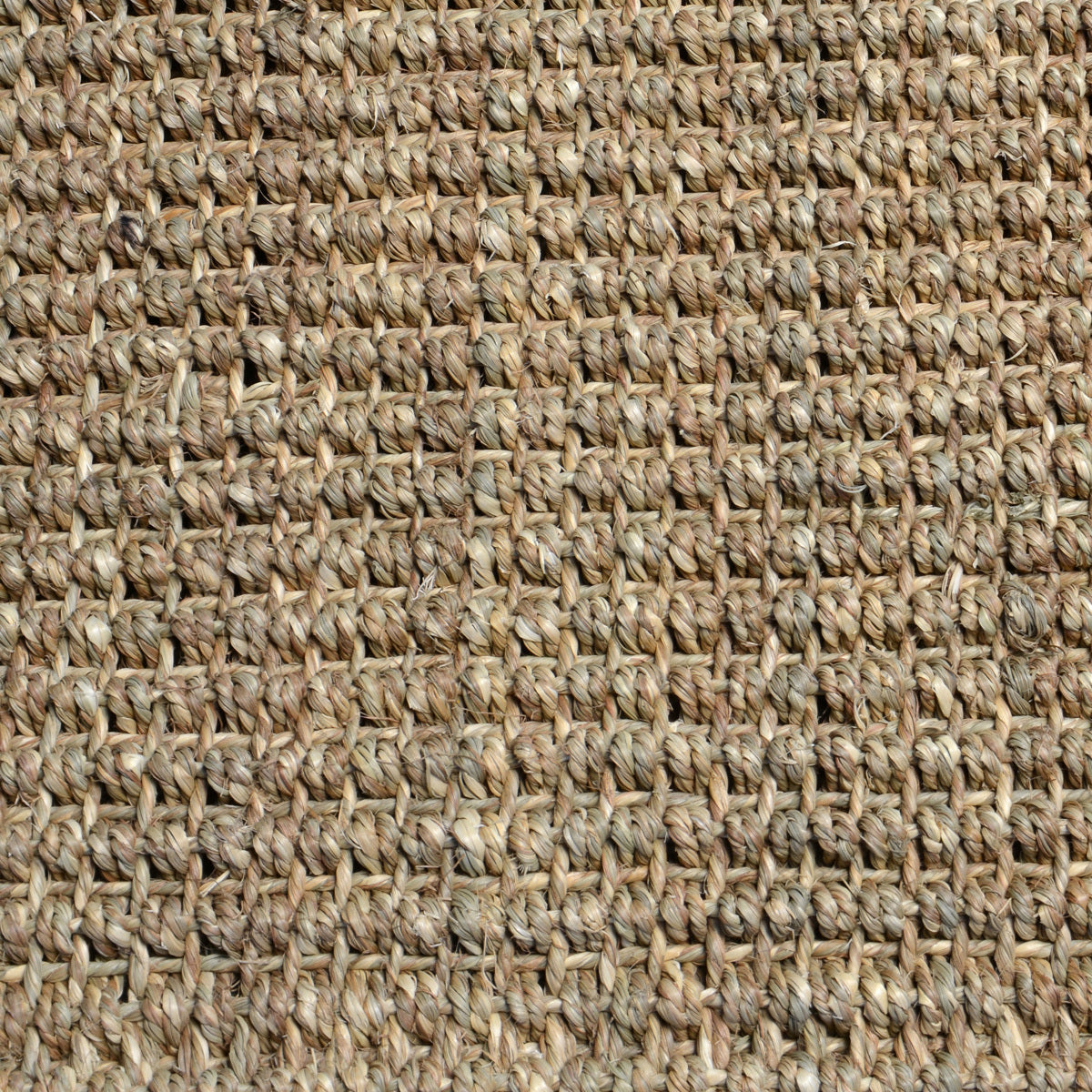 3006510