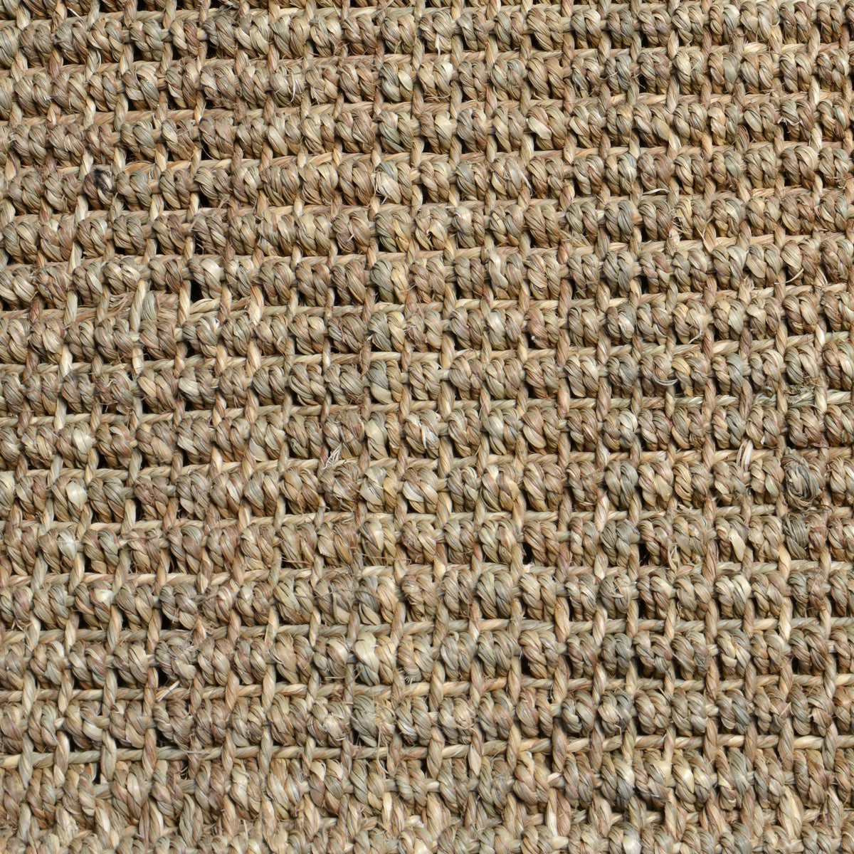 3006510