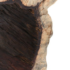 51005369