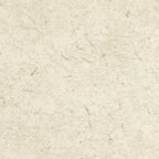 51031242