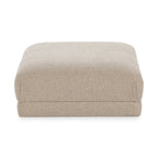 53006364