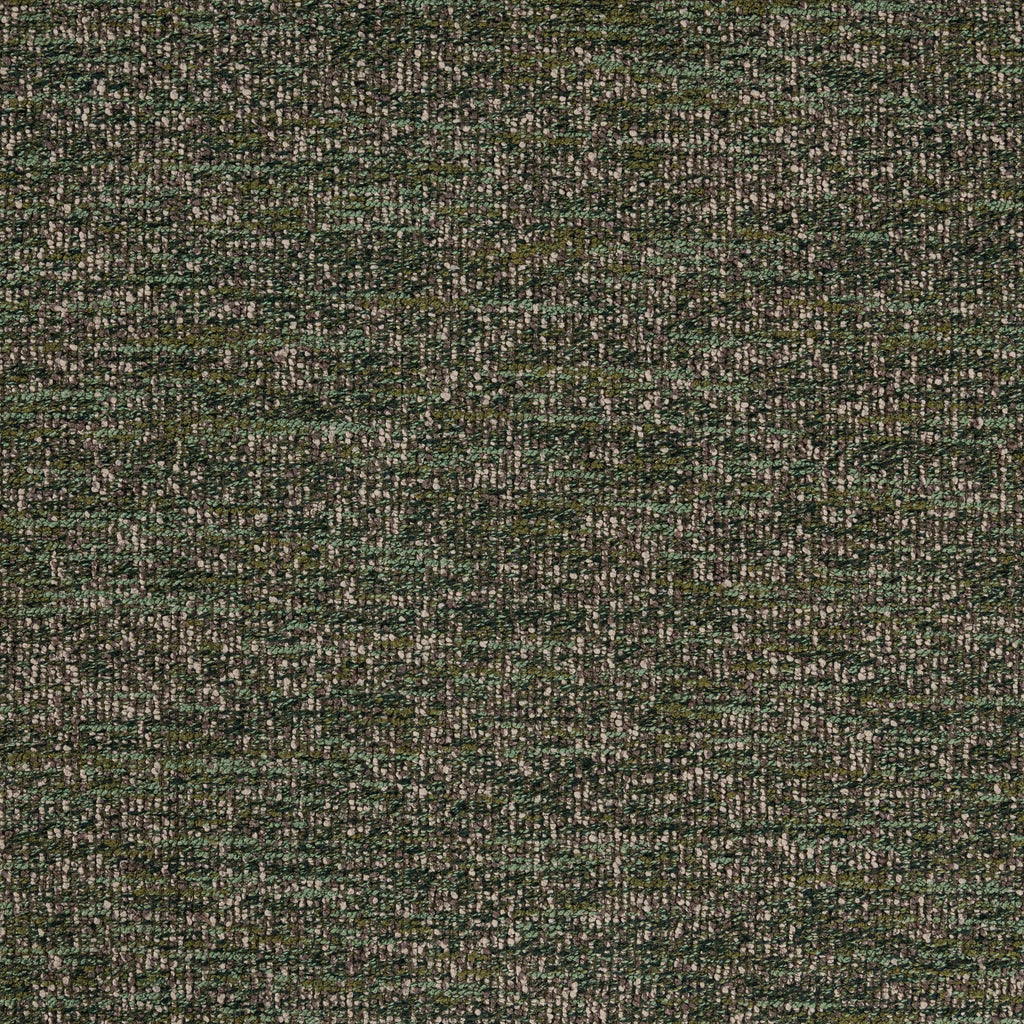 53006546