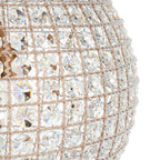 56003498