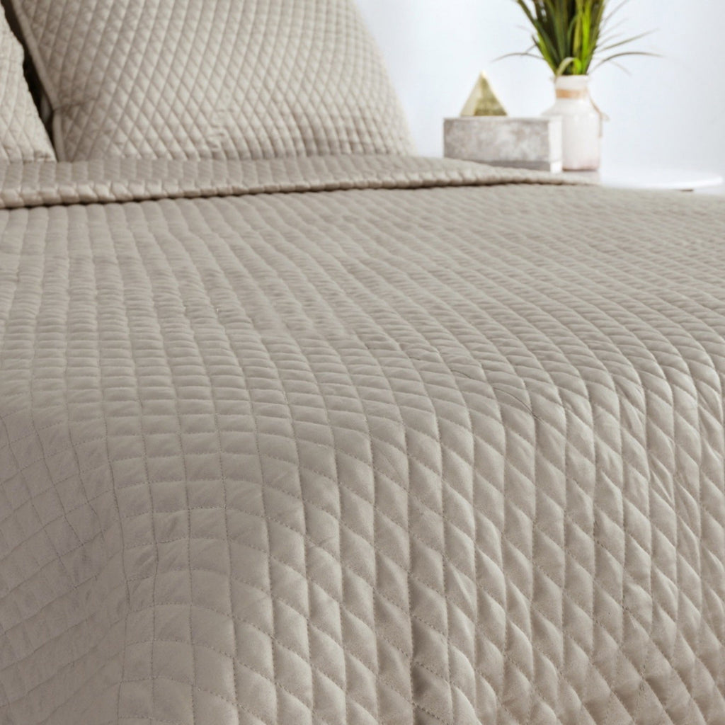V011876
