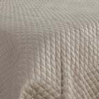 V022377SW