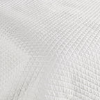 V021547SW