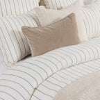 BEDD303K2