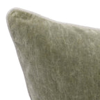 V240086