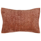 V260008