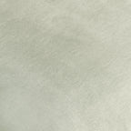 V290105SW