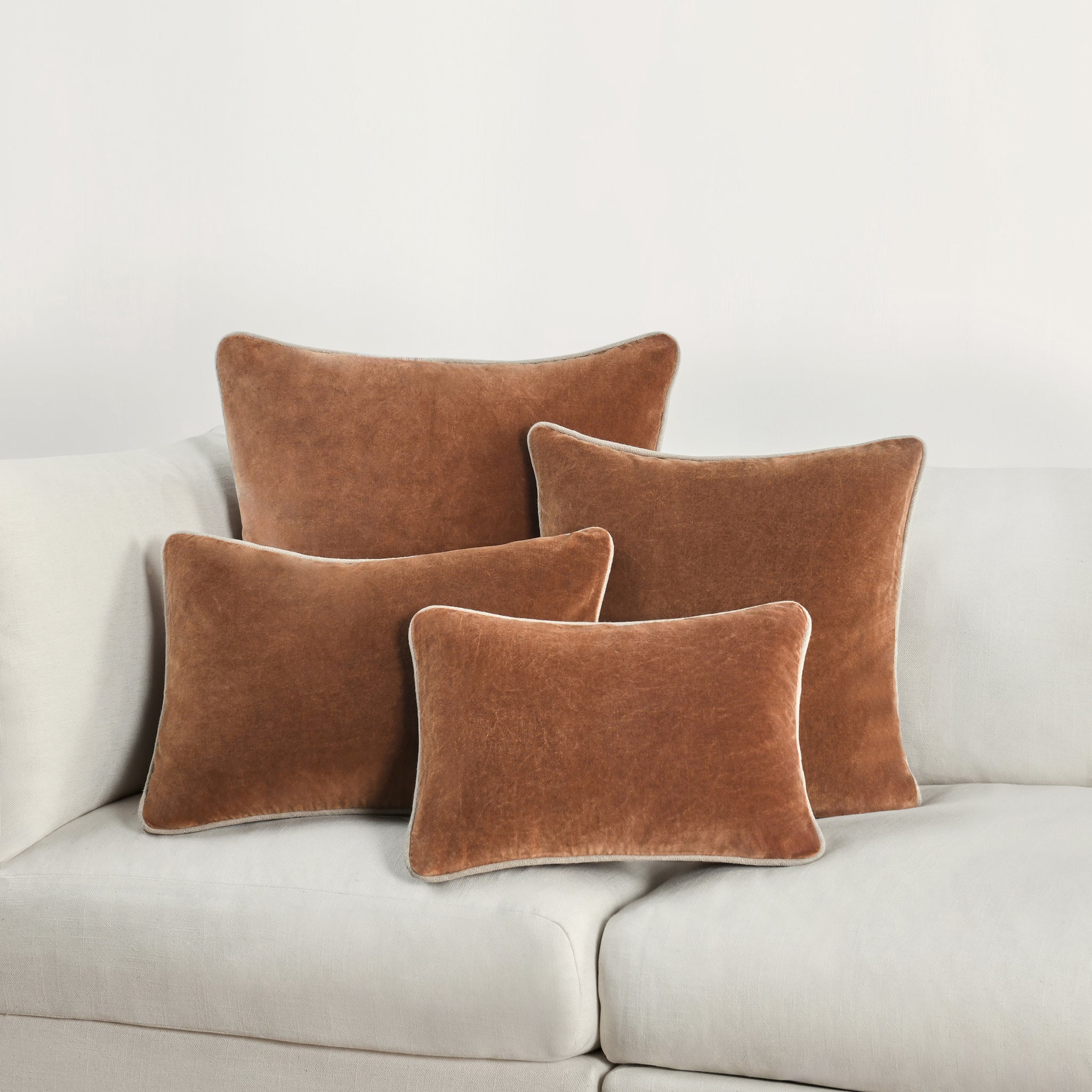 V290196