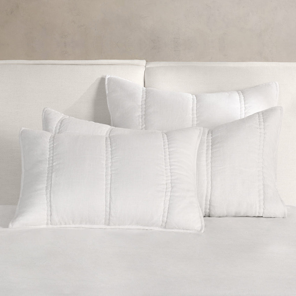 BEDQ533Q