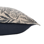BEDD354Q