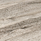 V310006