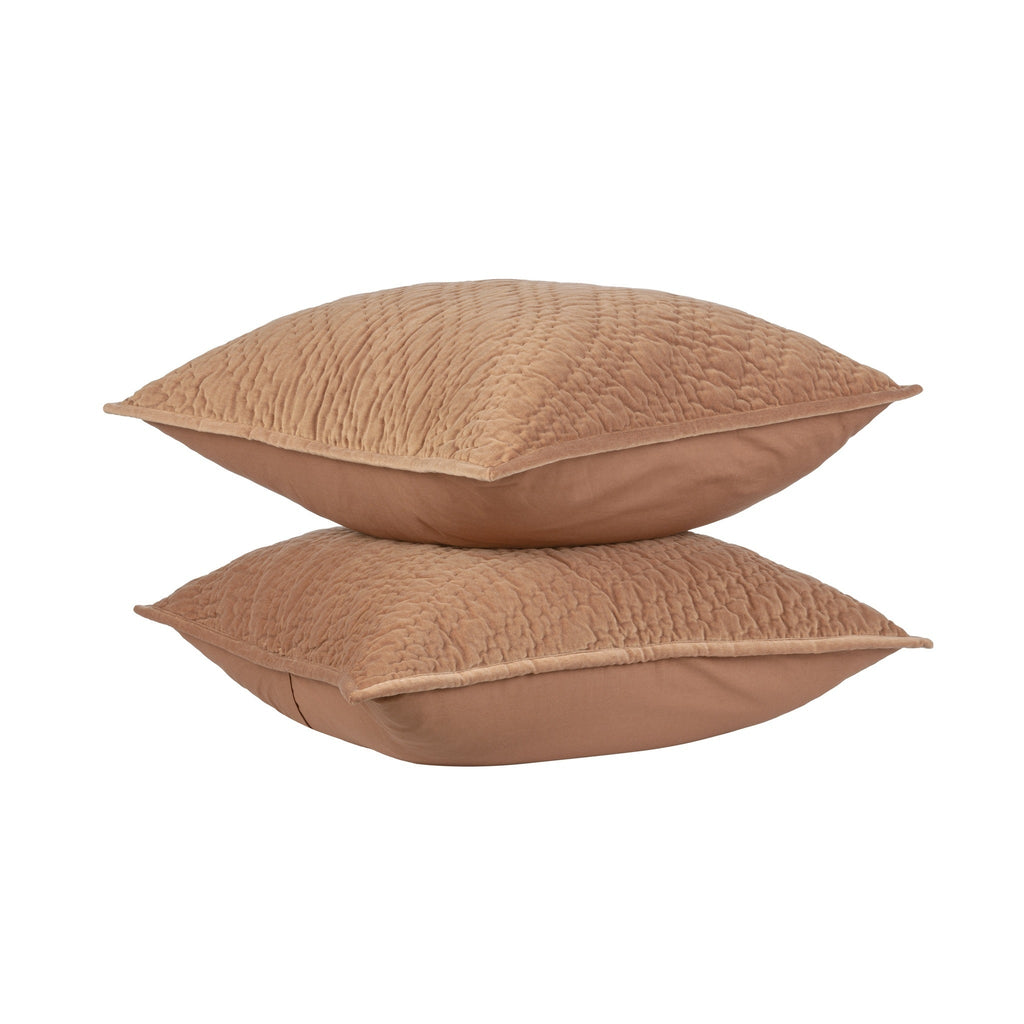 V310087