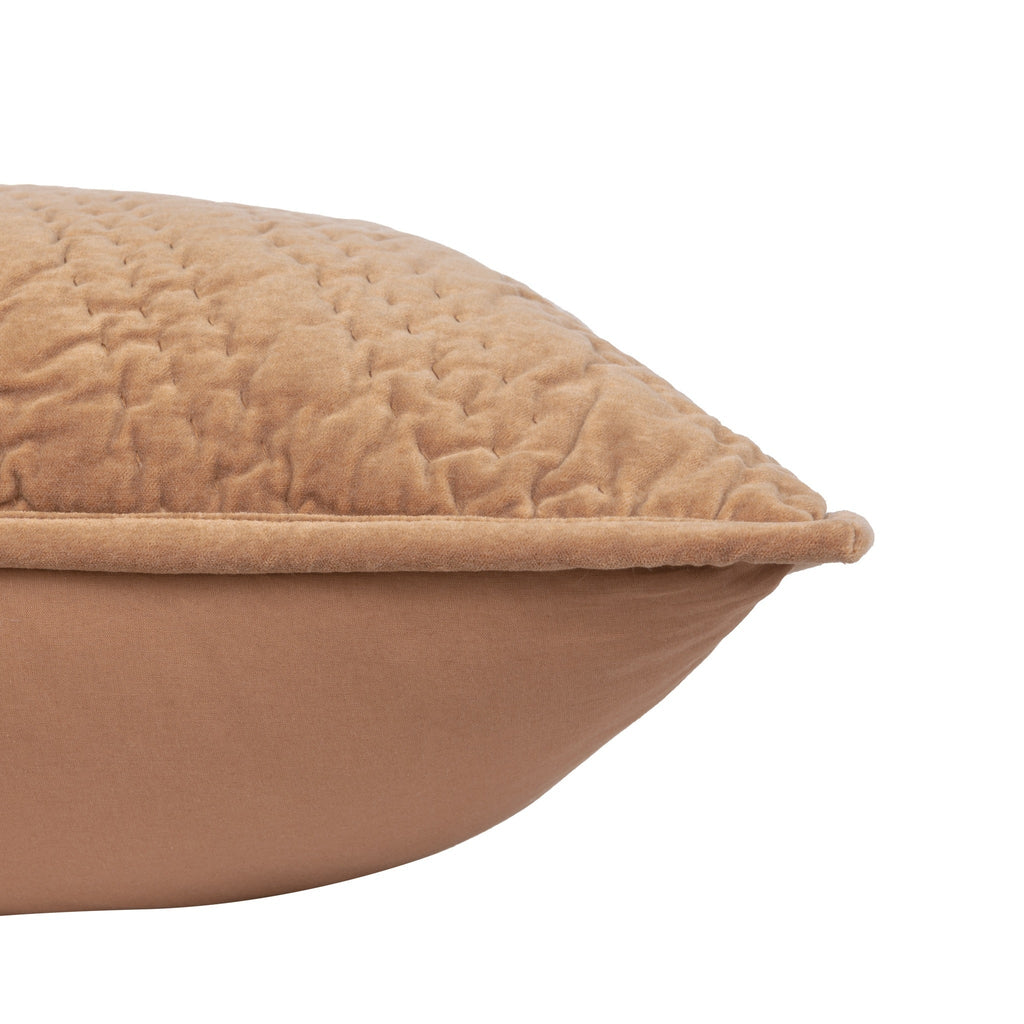 BEDQ539Q