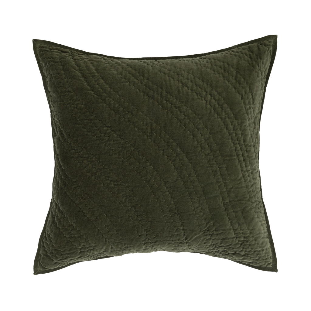 V310095