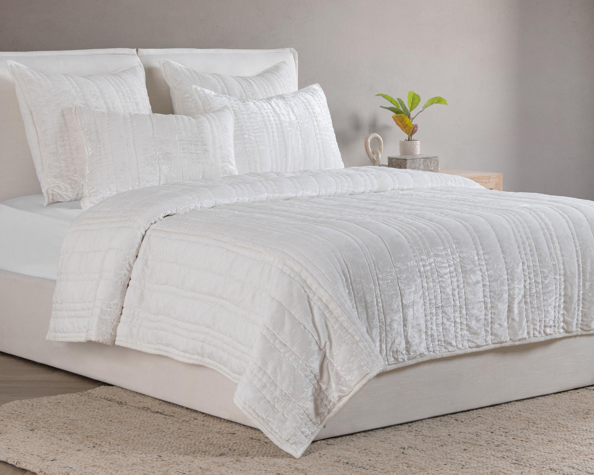 V310097
