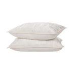 BEDQ541Q